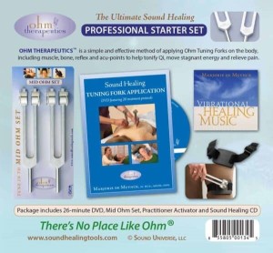 Stemvorkpakket Professional Starter Set 